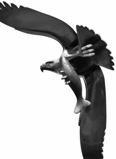 Sculpture "Oiseau de proie avec poisson n° 2", bronze brun