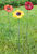 Pics de jardin - set floral "Fleurs rouge, jaune, orange", 3 pièces