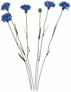 Pics de jardin - set floral "Bleuet", 5 pièces