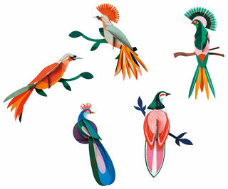 objets muraux 3D "Oiseaux de Paradis" en carton recyclé, DIY, set de 5
