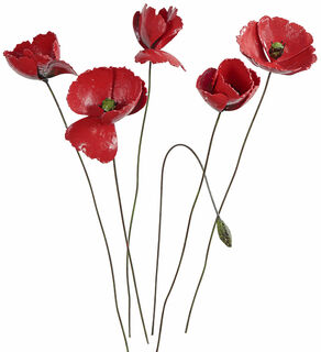 Pics de jardin - set floral "Pavot rouge", 6 pièces